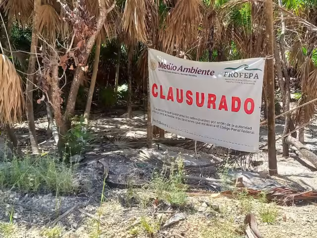 La reserva es reconocida como Patrimonio de la Humanidad por la Unesco; resguarda ecosistemas costeros, selvas y humedales de gran relevancia ambiental