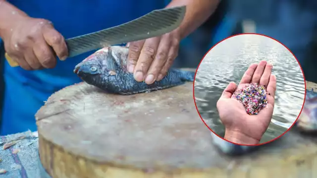 Al menos 800 especies del mar presentaron afectaciones, lo que perjudica la cadena alimenticia y también a las personas, pues también éstos los consumen