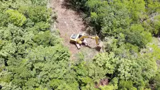  Península de Yucatán ha perdido más de 200 mil hectáreas de selva: CCMSS