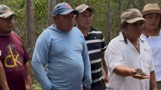 Daños potenciales por el uso de Fipronil ya se conocían: 3 millones de abejas murieron en Nohalal  