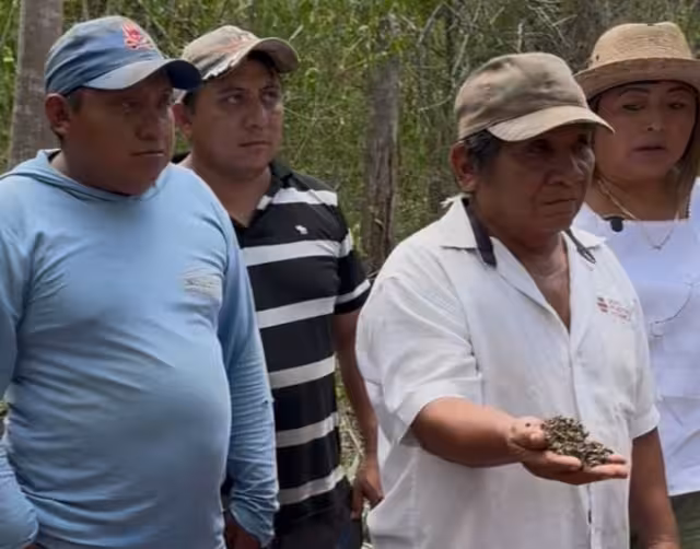 El fipronil interfiere con el sistema nervioso central de los insectos, provocando desorientación, parálisis y muerte