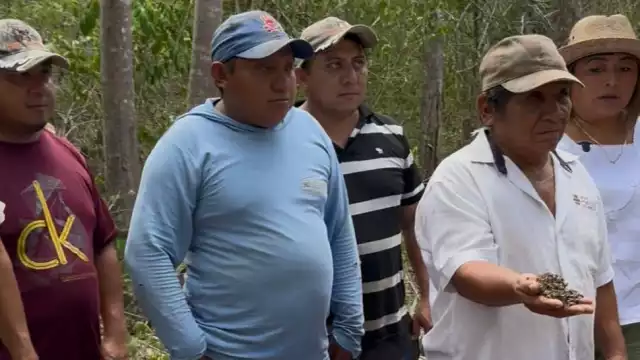 El fipronil interfiere con el sistema nervioso central de los insectos, provocando desorientación, parálisis y muerte