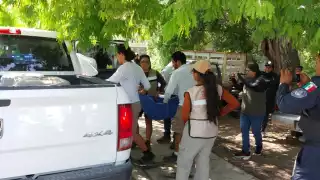Rescatan a venado desorientado en Colonia Ejido