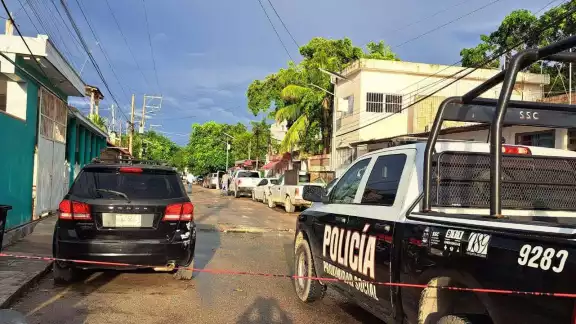 Las moscas abundaban en el lugar