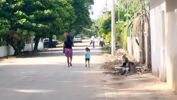 Pobladores de la cabecera sacrificarán a animales que crían para preparar la cena del 24 Pobladores de la cabecera sacrificarán a animales que crían para preparar la cena del 24