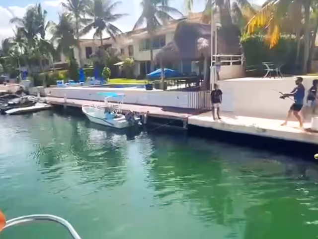 Ciudadanos exigen a las autoridades que tomen cartas en el asunto pronto