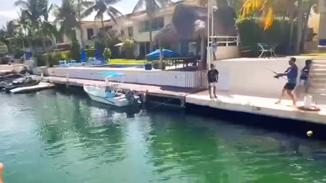 Ciudadanos exigen a las autoridades que tomen cartas en el asunto pronto