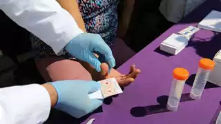 Crearán catálogo de muestras genéticas en Quintana Roo