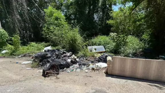Habitantes en Infonavit Payo Obispo han reportado a las autoridades de la continúa polución del área. Habitantes en Infonavit Payo Obispo han reportado a las autoridades de la continúa polución del área.