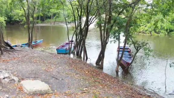 Nivel del Río Hondo disminuye tras lluvias en Othón P. Blanco. Nivel del Río Hondo disminuye tras lluvias en Othón P. Blanco.