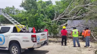   Beryl interrumpe el servicio de agua y provoca caída de árboles en Campeche  