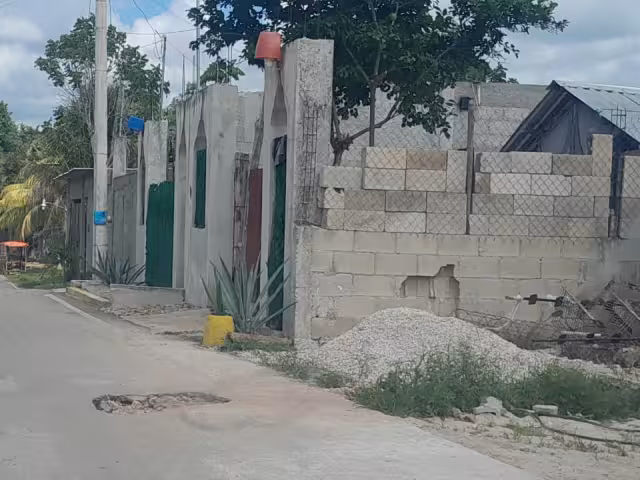 Los negocios aparentan viviendas comunes y trabajan las 24 horas del día, con venta a cualquiera