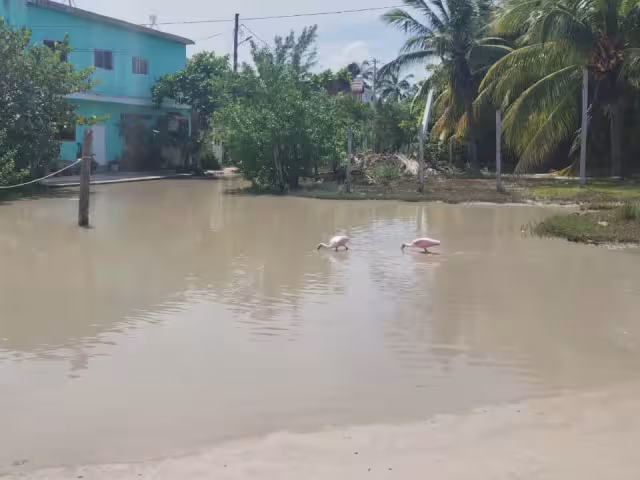 Familias de Holbox sufren estragos tras el paso del huracán “Helene”