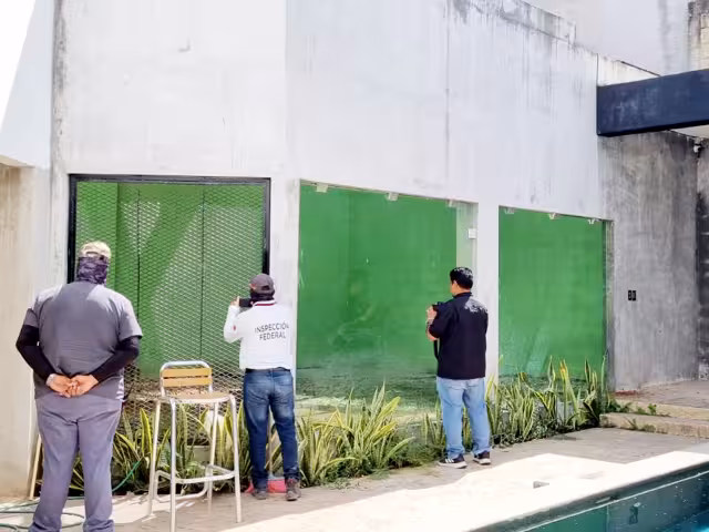 El operativo se llevó a cabo de manera conjunta entre la FGR y Profepa, la cual informó que el animal estaba en un espacio inadecuado