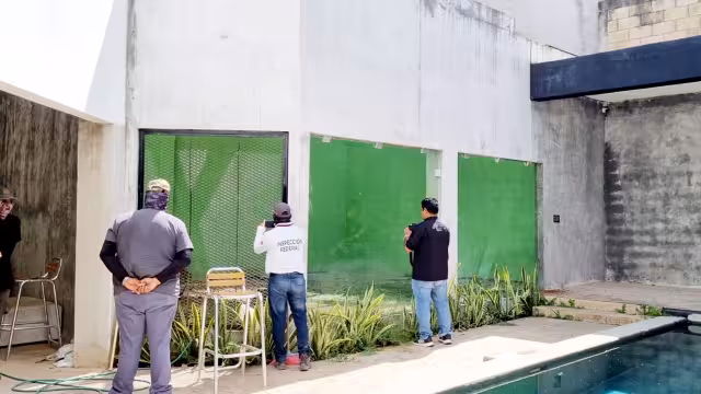 El operativo se llevó a cabo de manera conjunta entre la FGR y Profepa, la cual informó que el animal estaba en un espacio inadecuado