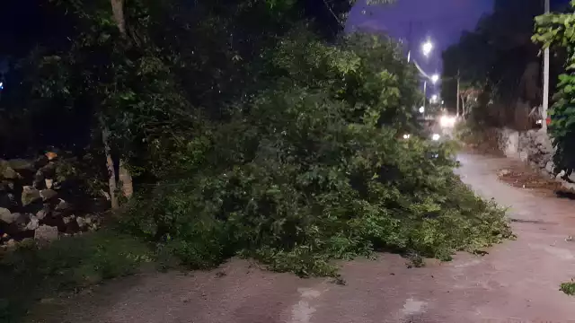 Fuertes vientos huracanados azotaron Dzitbalché y Calkiní.