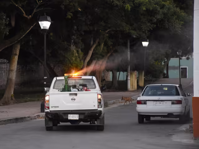 Métricas de dengue clásico y dengue hemorrágico en Mérida