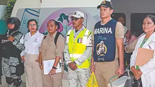 Activan cerco sanitario por caso de  rabia felina en Ciudad del Carmen