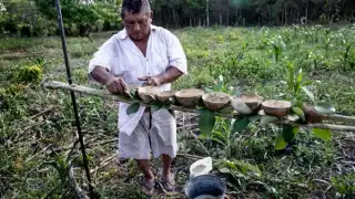 “2 mil pesos ya no alcanzan”: Piden más apoyo para comisarios ejidales en Campeche 