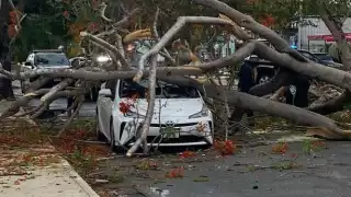 En el hecho no se registraron personas lesionadas