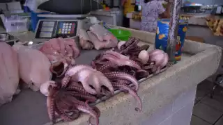 Se dispara el precio del pulpo en Mérida, a días de iniciar la veda