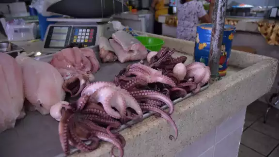 El precio del pulpo aumentó de 120 a 180 pesos el kilogramo, un 33 por ciento El precio del pulpo aumentó de 120 a 180 pesos el kilogramo, un 33 por ciento