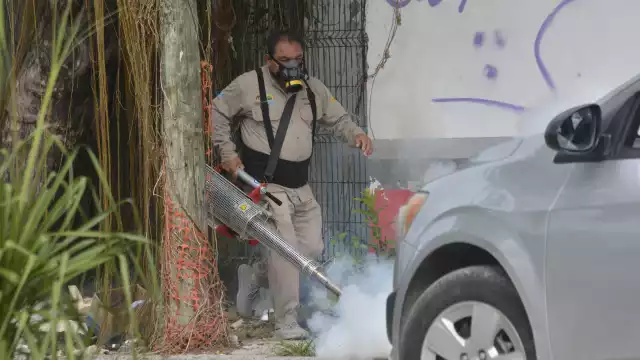 Brigadistas realizan labores de fumigación, apoyados de 12 vehículos nebulizadores, sin que hasta la fecha se haya logrado frenar la incidencia al alza
