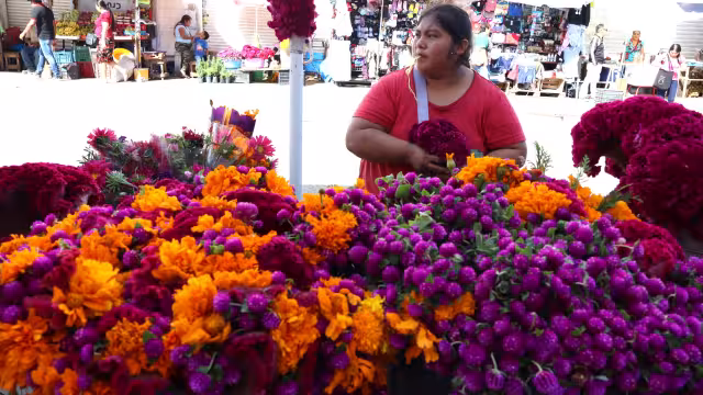 La Canaco Mérida afirmó que las festividades contribuyen significativamente al bienestar económico local, impulsando la actividad de pequeños y medianos negocios.