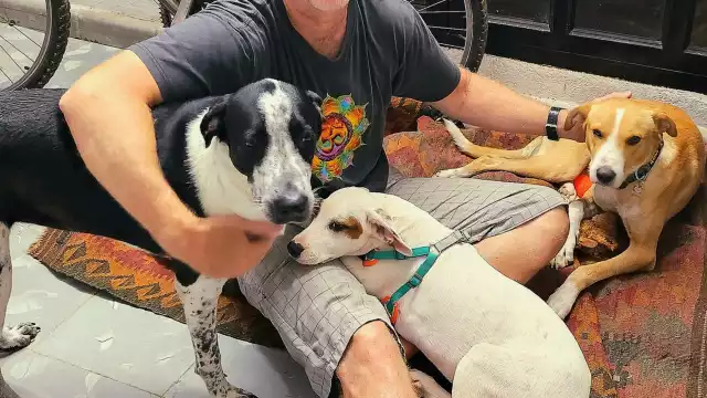 Los perritos fueron bautizados como Amador, Julieta, Máscara y Dobby