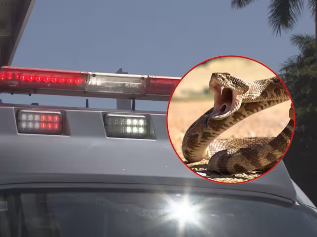 Debido a la gravedad, tuvo que ser llevado a Chetumal