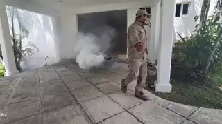 Probables casos de dengue aumentan en Cozumel durante 2025