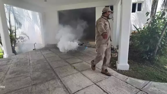 Las autoridades de Salud de la isla refuerzan las campañas de fumigación y limpieza para combatir el incremento del mosco transmisor Aedes aegypti Las autoridades de Salud de la isla refuerzan las campañas de fumigación y limpieza para combatir el incremento del mosco transmisor Aedes aegypti