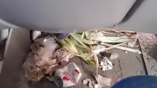   “Me encontré un basurero”: Denuncian abandono del transporte público tradicional en Mérida   