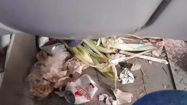 Entre la basura que se encontraba en la unidad podían observarse latas de cerveza, hoja de elotes y restos de comida