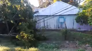 Árbol en mal estado cayó y reventó líneas eléctricas de la CFE.