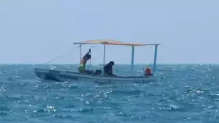 La Zona de Refugio Pesquero Parcial Temporal, por cinco años, se ubica en Chuburná Puerto