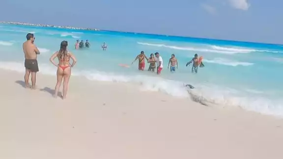 El turista logró tranquilizar a la mujer hasta que llegaron los salvavidas. El turista logró tranquilizar a la mujer hasta que llegaron los salvavidas.