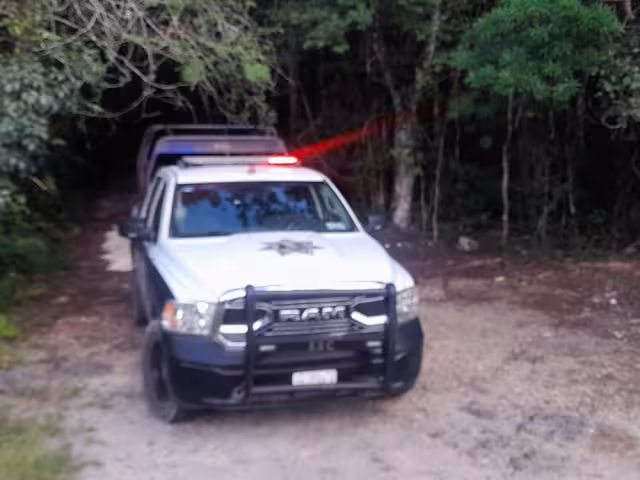 La búsqueda fue realizada en la comunidad de José María Pino Suárez