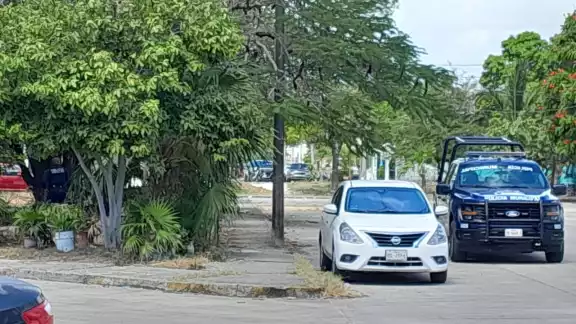 Vecinos realizaron el descubrimiento, por lo que alertaron a las autoridades Vecinos realizaron el descubrimiento, por lo que alertaron a las autoridades