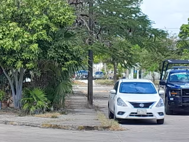 Vecinos realizaron el descubrimiento, por lo que alertaron a las autoridades