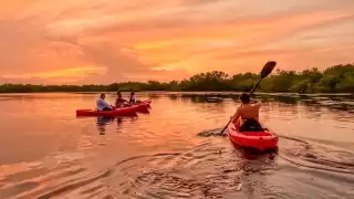 La UMA San Manuel se ubica en el oriente del estado de Yucatán