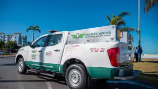 Saldo blanco con Guadalupanos en Campeche, reporta Ángeles Verdes