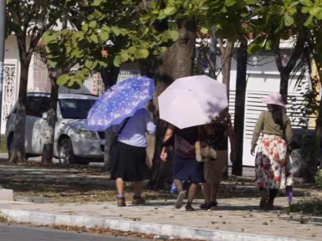 Clima caluroso para Campeche
