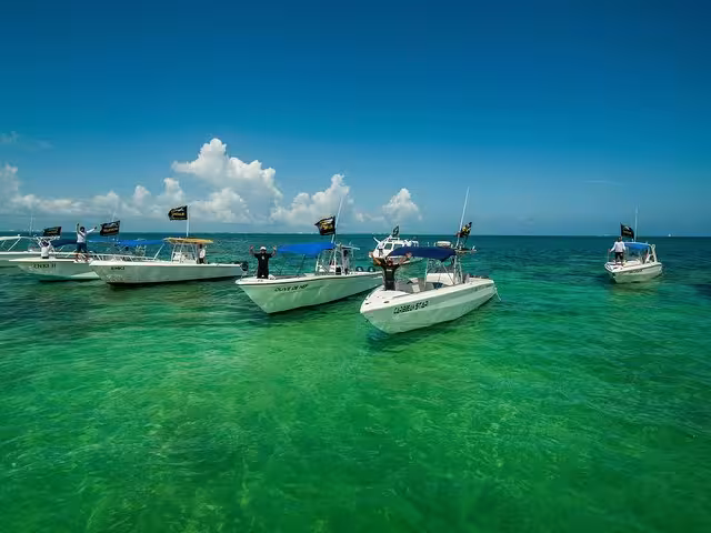 Buscan la reducción de lanchas por la baja demanda del tiburón ballena en Isla Mujeres