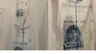 En Yucatán, vandalizan exposición sobre feminicidios y desapariciones   