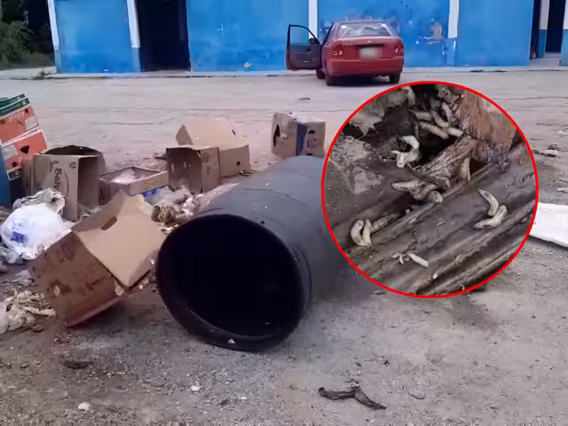 Locatarios denuncian foco de infección en el mercado municipal de Bécal, Calkiní