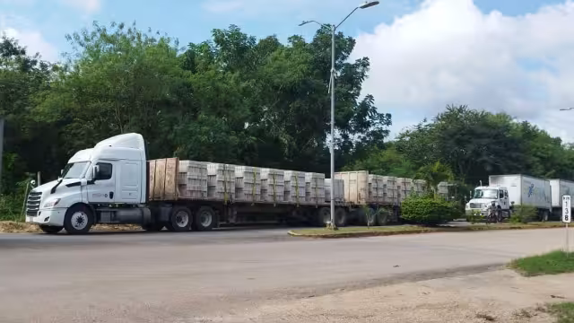 Más de medio centenar de vehículos quedaron varados