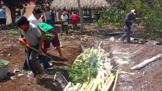 Un sacerdote maya evaluará si es necesario repetir el ceremonial o solo reforzarlo.
