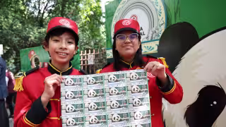   Billete de Lotería de Xin Xin, La panda gigante de Chapultepec: precio, bolsa y cuándo es el sorteo  