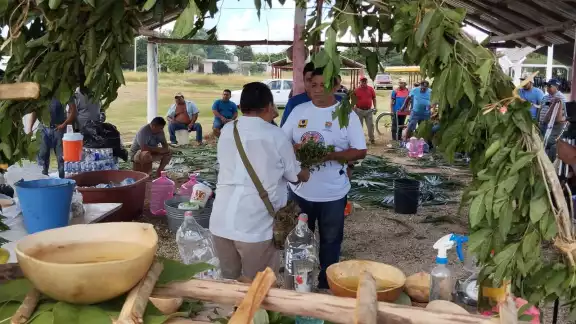 Los beneficiarios deben preservar sus tradiciones y costumbres, como la primicia maya cha’a cháak